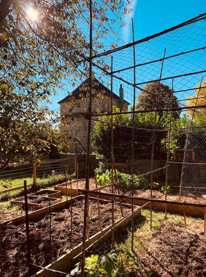 Pool House-L'Hirondelle De Sermizelles- Grand Jardin, Calme Et Nature Aux Portes Du Morvan Exterior foto